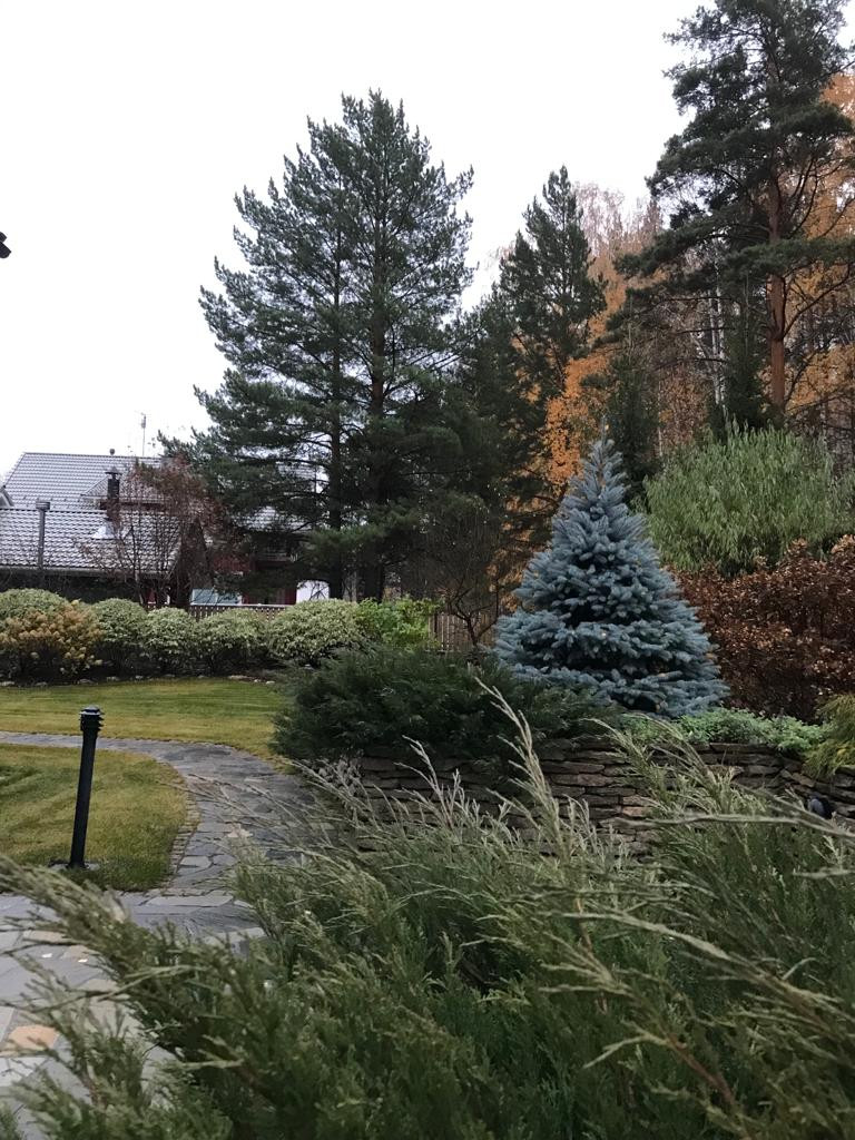 Обложка проекта: Подкова