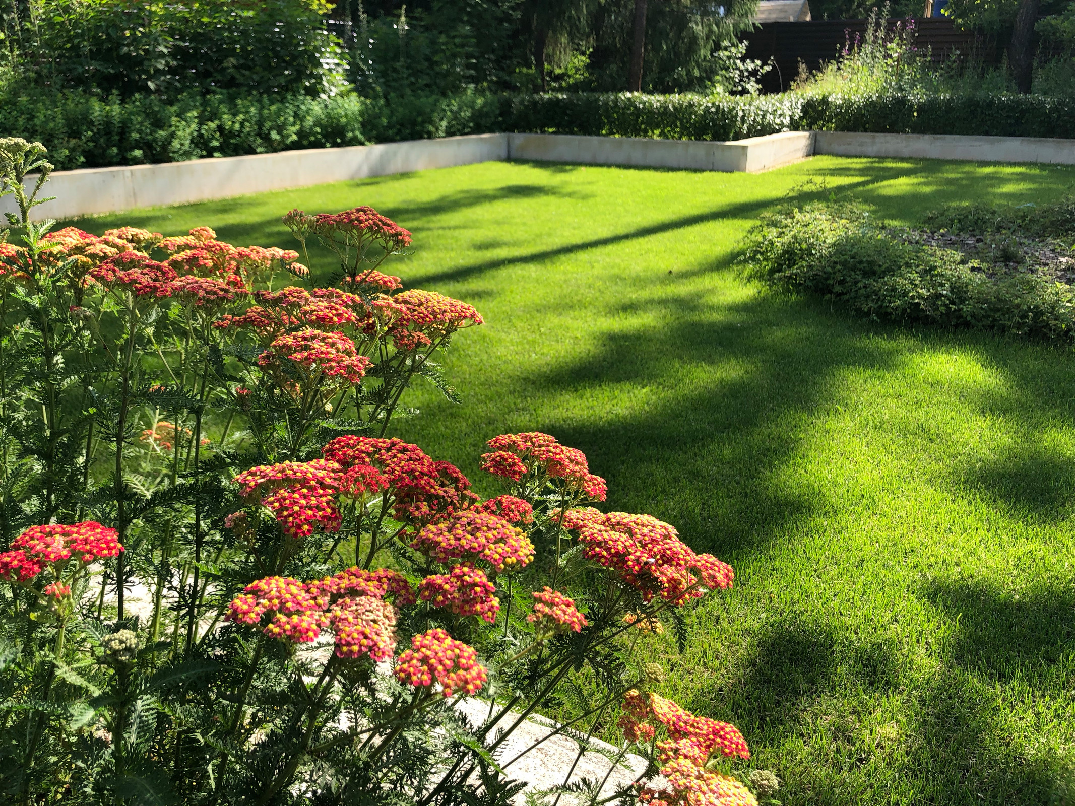 Обложка проекта: ДНП Ветеран