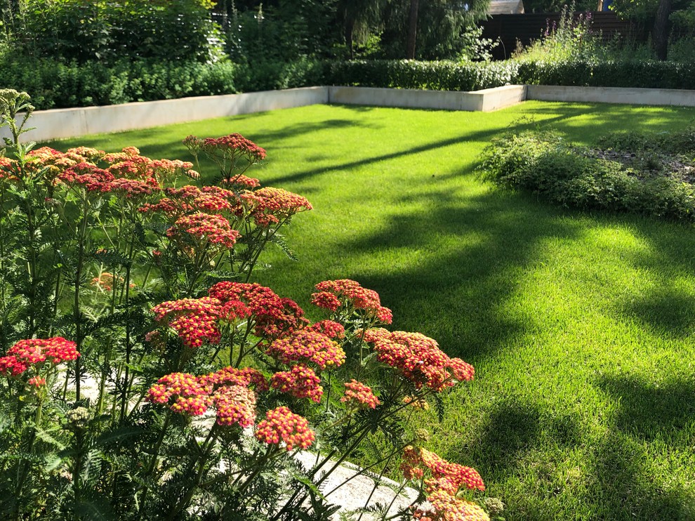 Обложка проекта: ДНП Ветеран