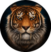 Онуфрий Брезгин