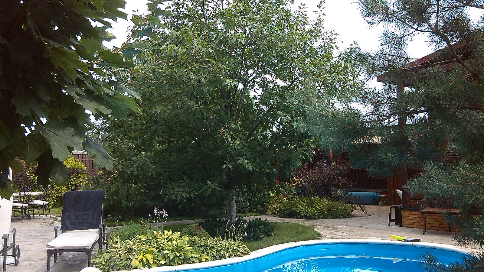 Домик среди старых дач