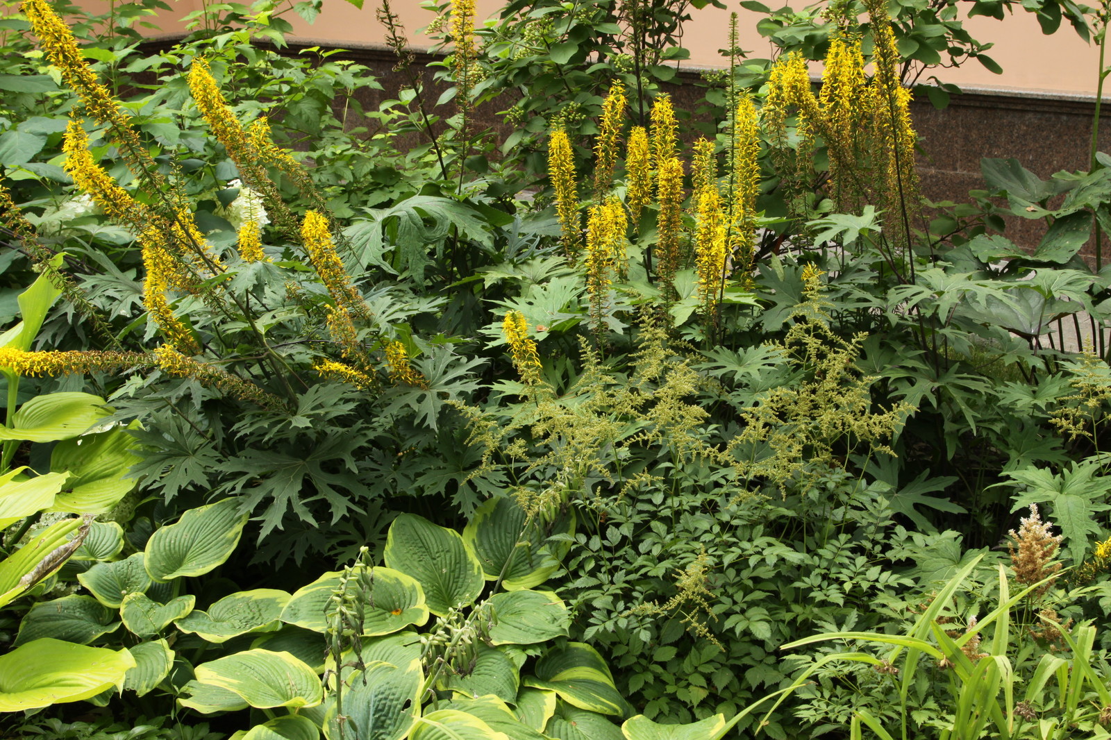 Теневые сады