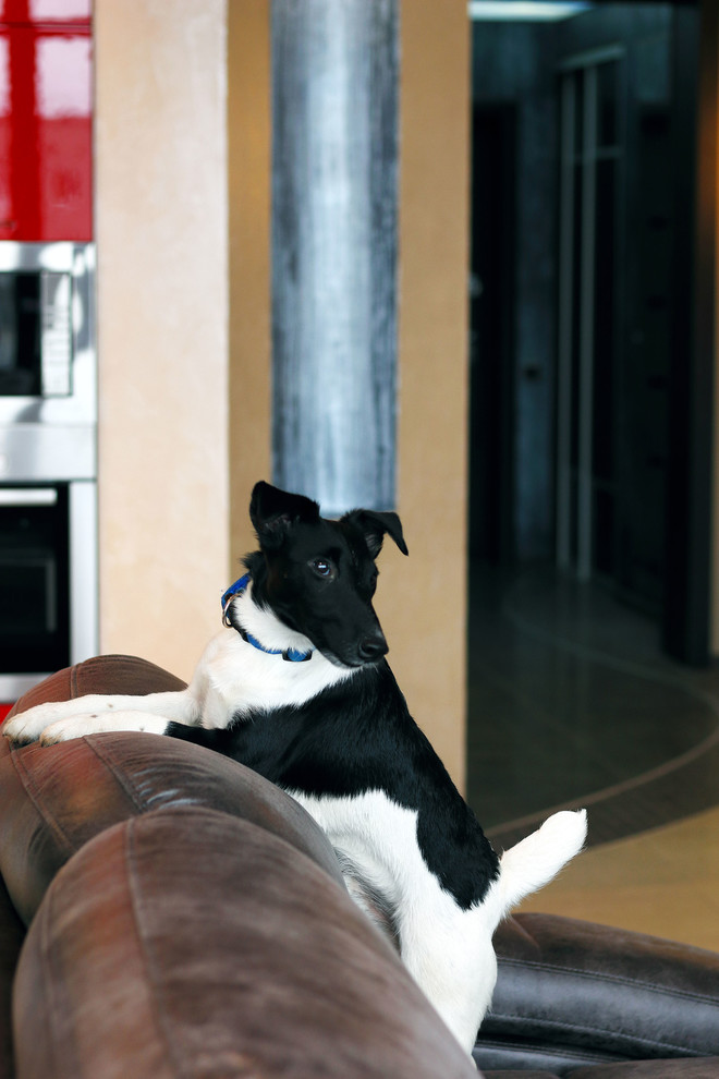 Квартира, фото