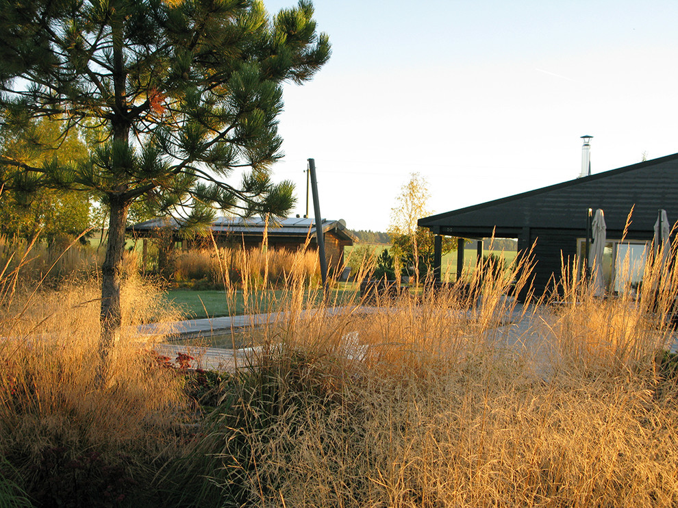 Houzz Белоруссия: Сад в тумане