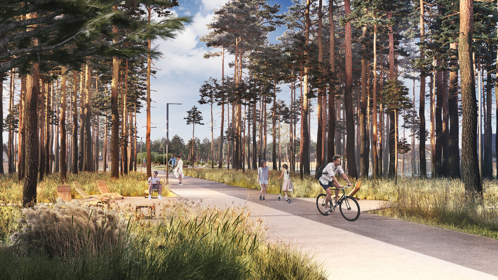 Репино парк