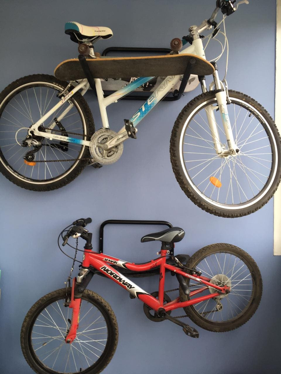 Елена Сулла