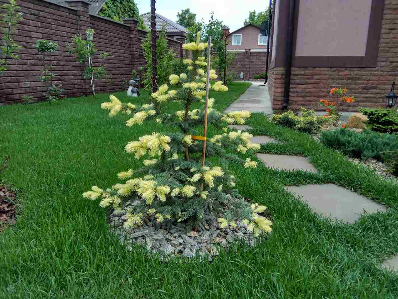 Ландшафтный дизайн