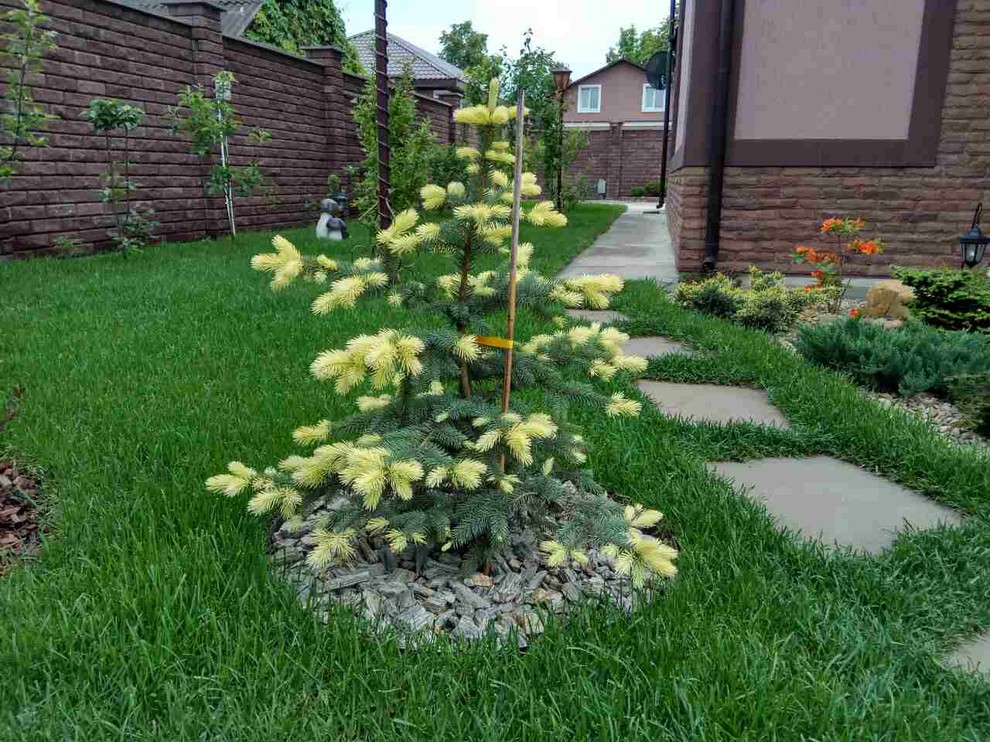 Ландшафтный дизайн