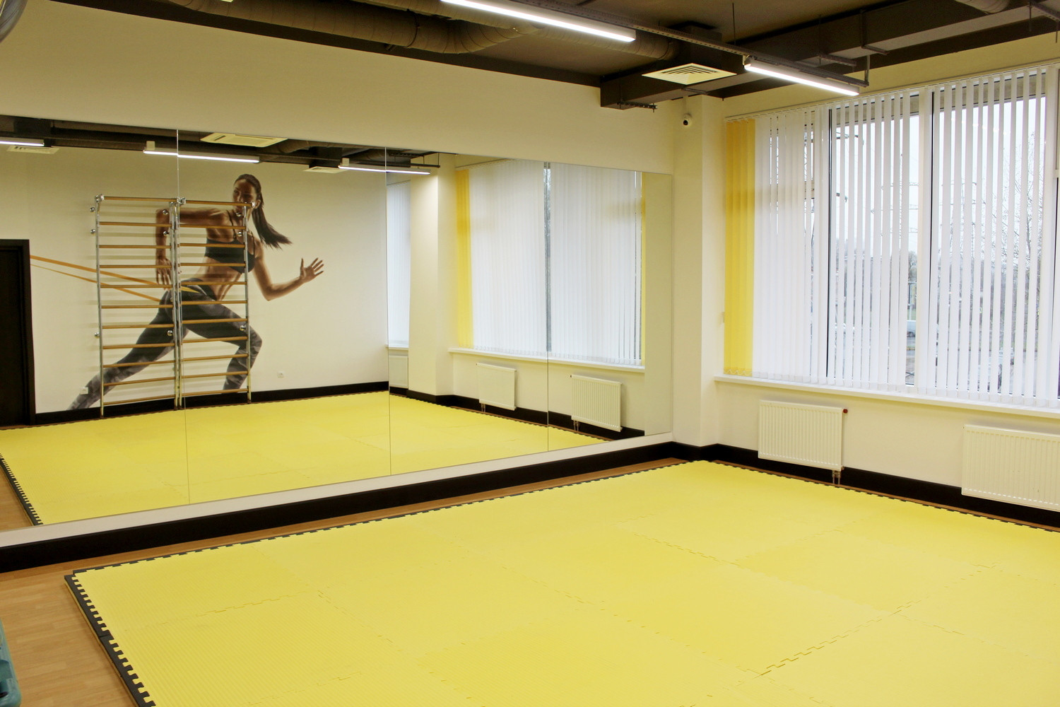 Обложка проекта: Фитнес зал на "Черной речке"