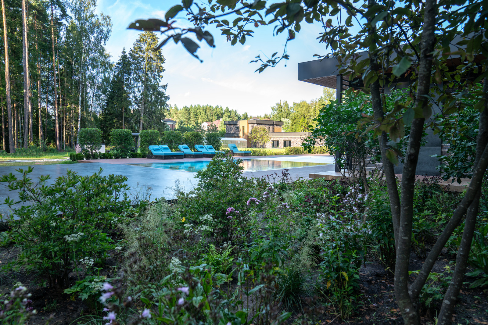 Лесные Зори. 1 Га. 2023 г.