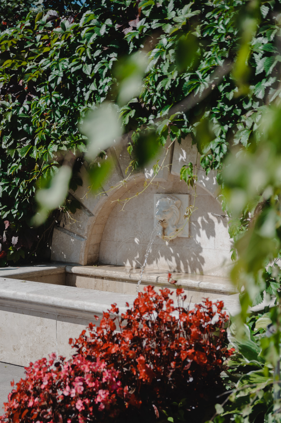 Регулярный сад