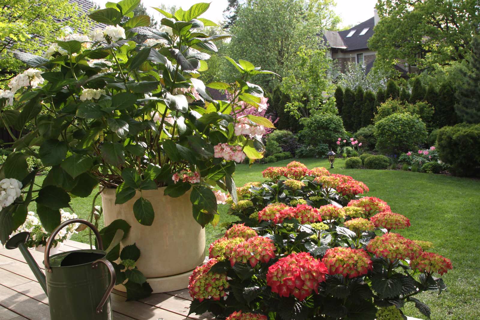 Fairy Garden.Сад под дубами