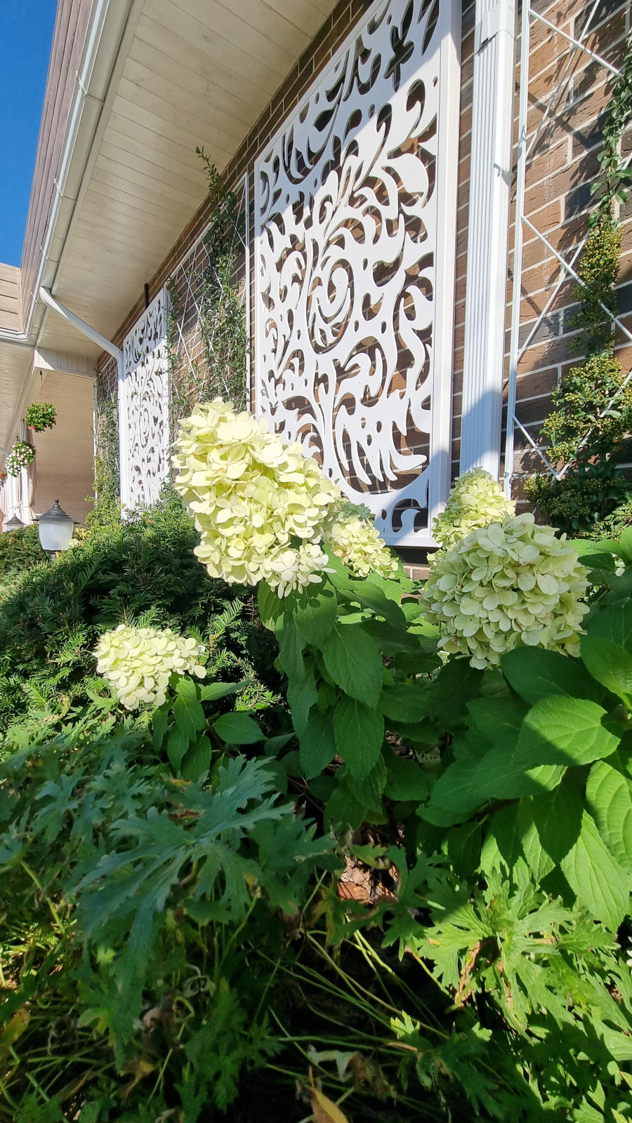 Реализация проекта "Французский дворик"