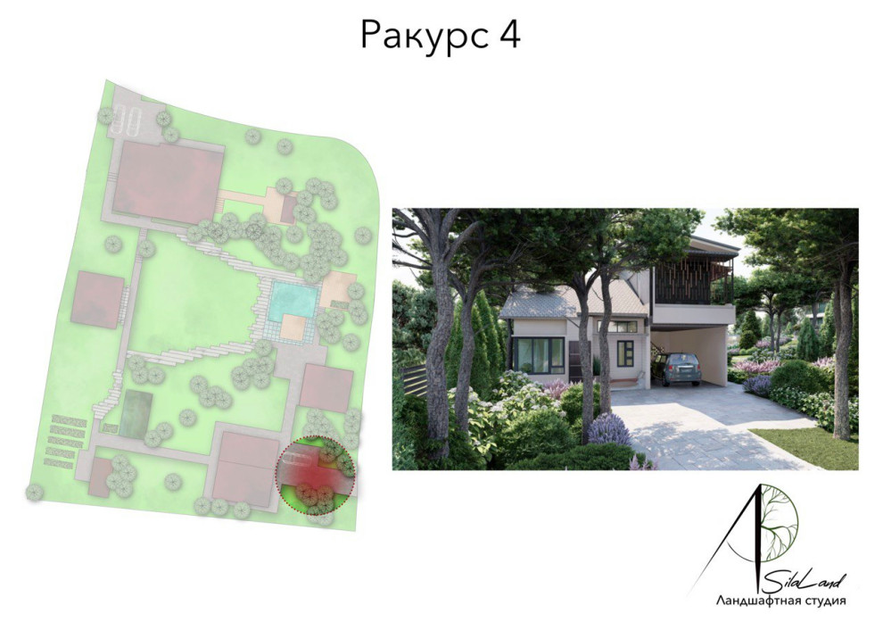 Солнце в кронах