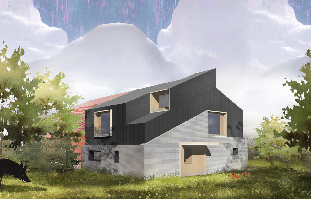 Реконструкция дома в Сходне