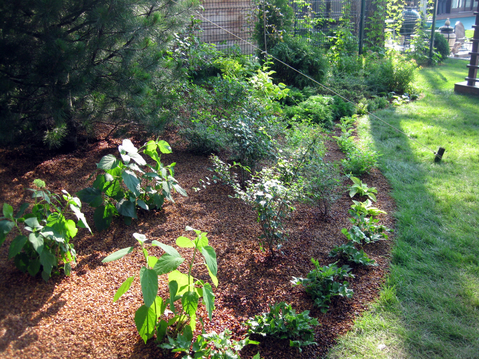 Декоративные посадки