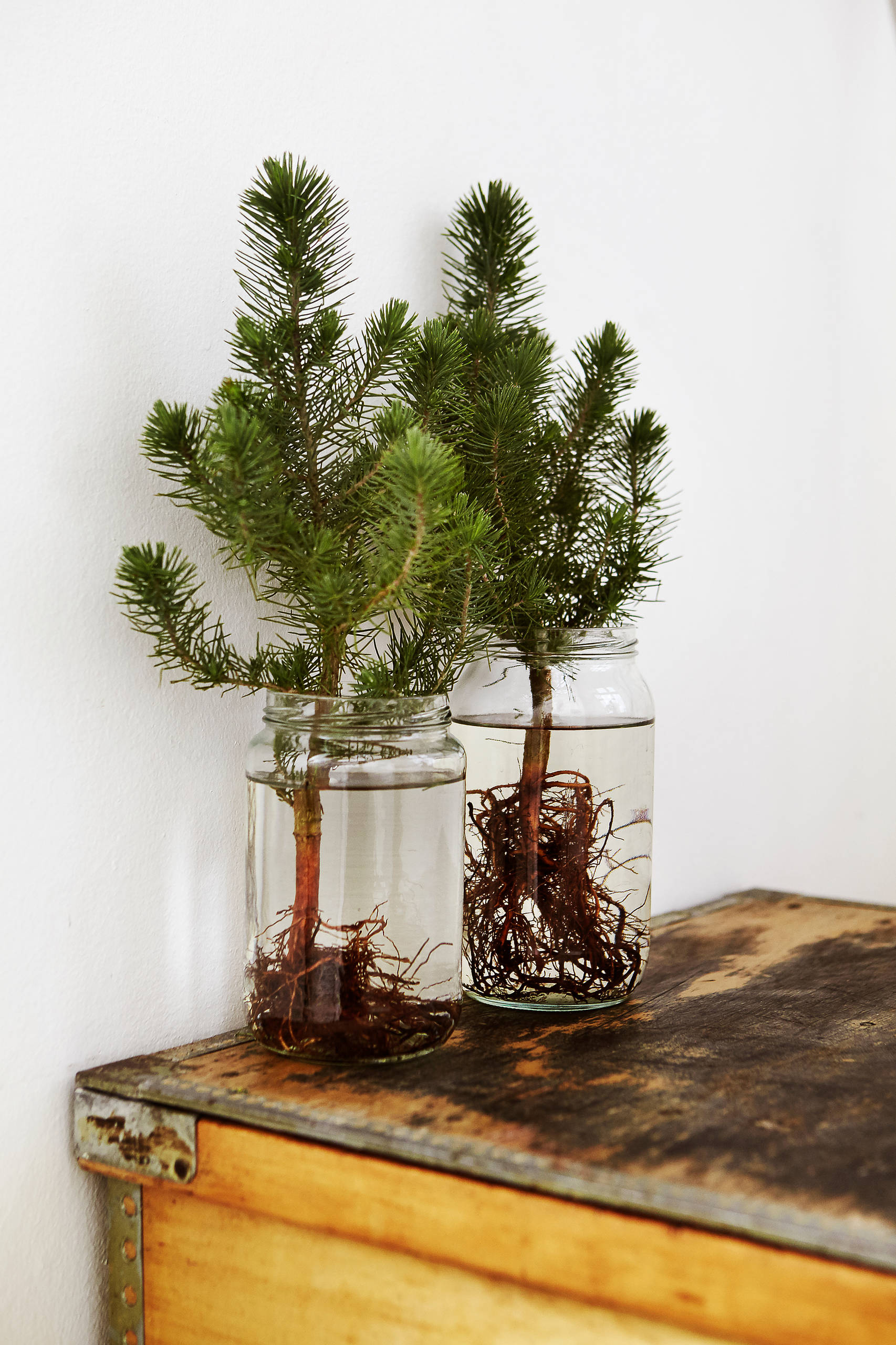 Houzz Дания: Сканди-шик —новогодний декор из природных материалов