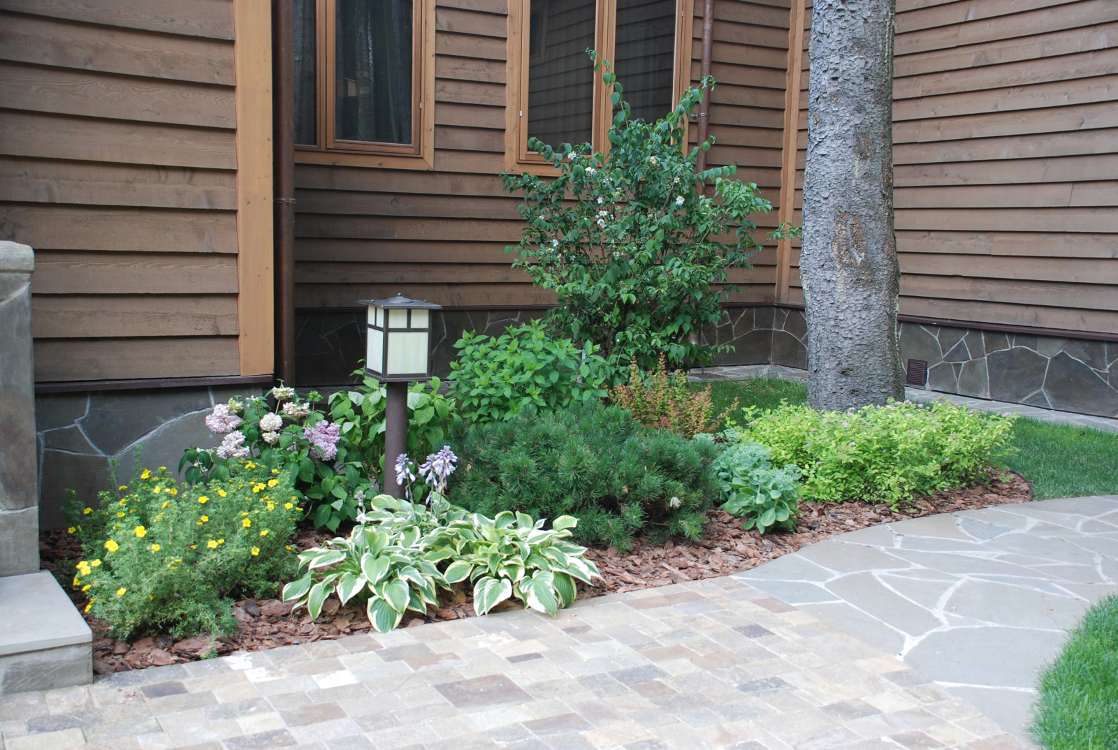 Обложка проекта: Лесной участок в КП "РИИТА"