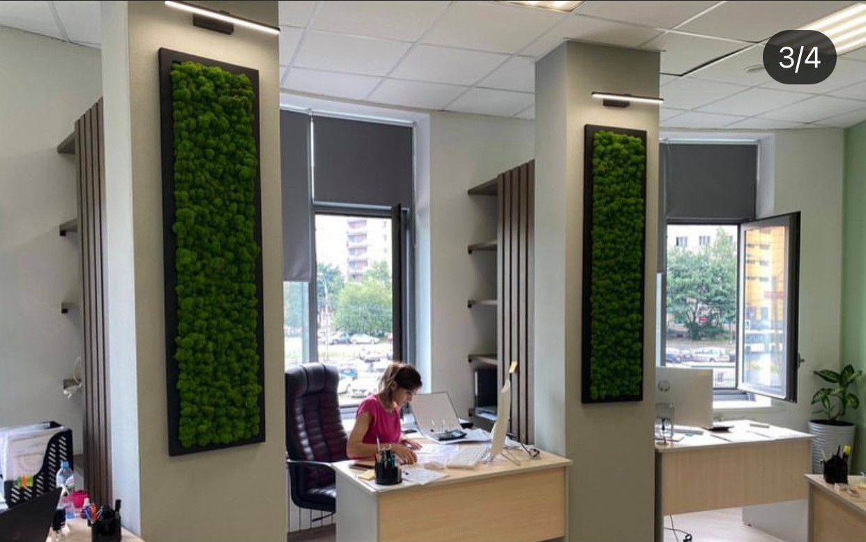 Обложка проекта: Дизайн проект офиса юридической фирмы.