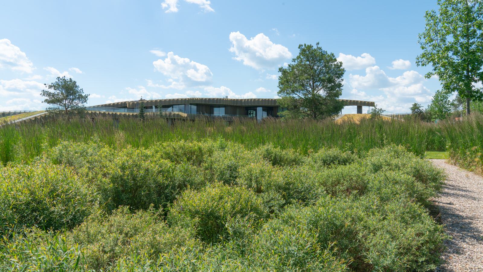 Природный сад. Жуковка XXI век. 2017-2018 гг.