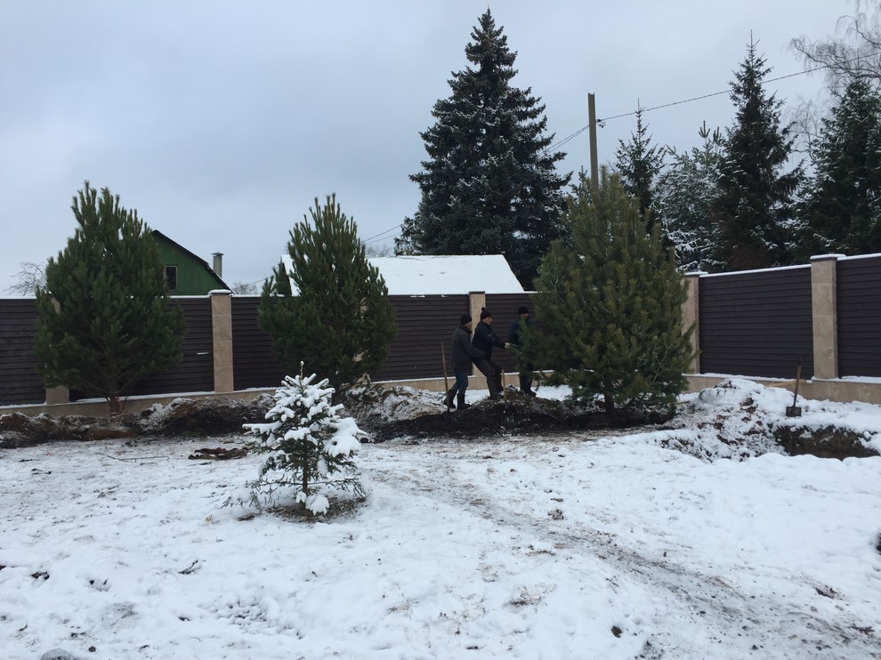 Крупномеры. Летом и зимой