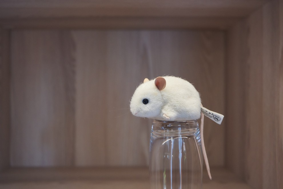 Зеркальный распашной шкаф с RPS системой raumplus