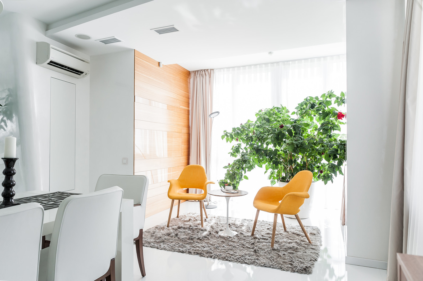 Обложка проекта: Светлый hi-tech