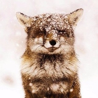 Анна Григорян