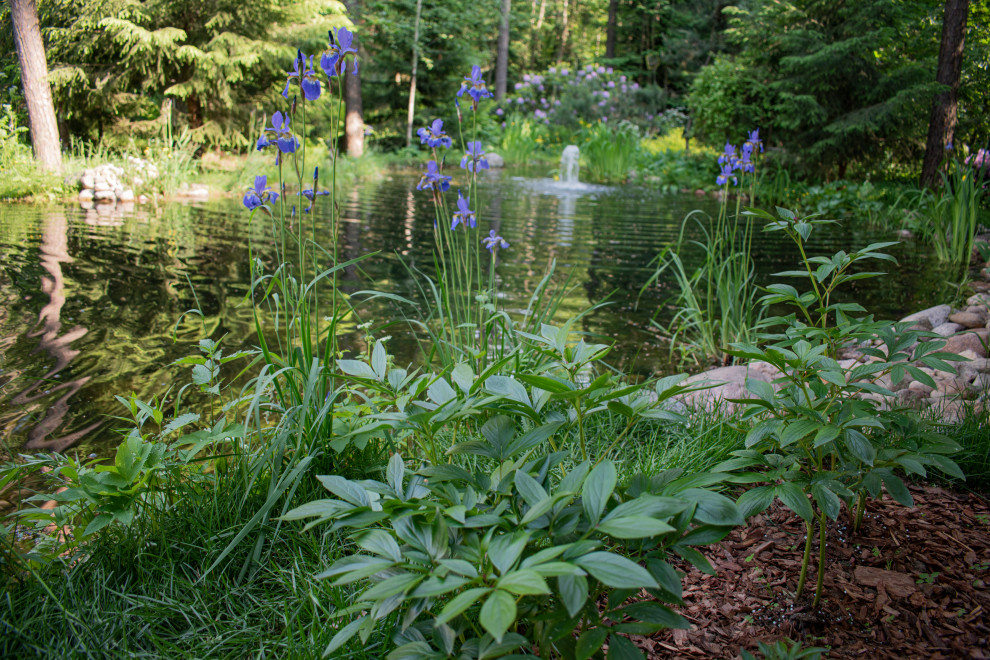 Тенистый сад