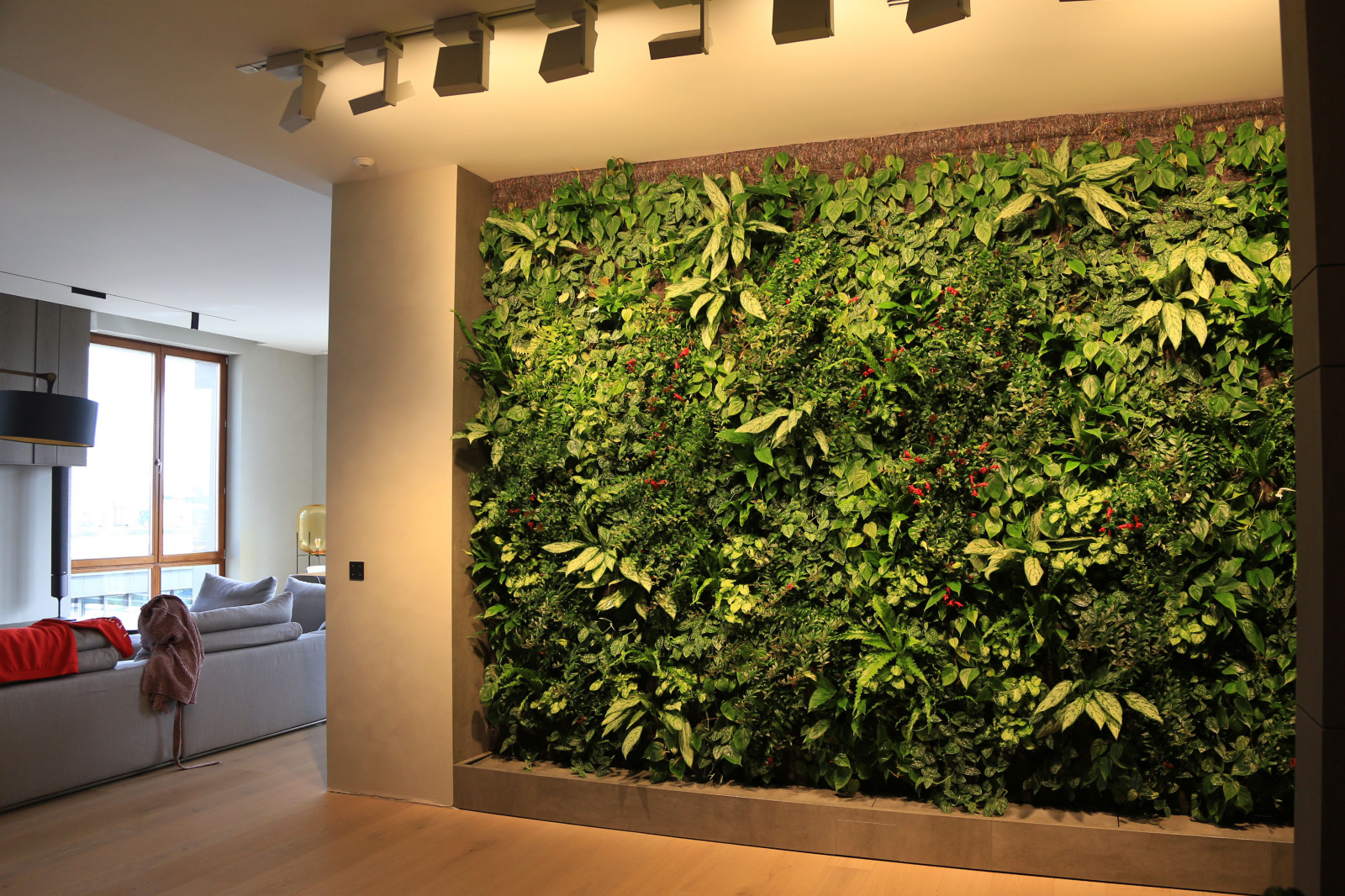 Обложка проекта: Фитостена в квартире в жилом комплексе у Смольного собора