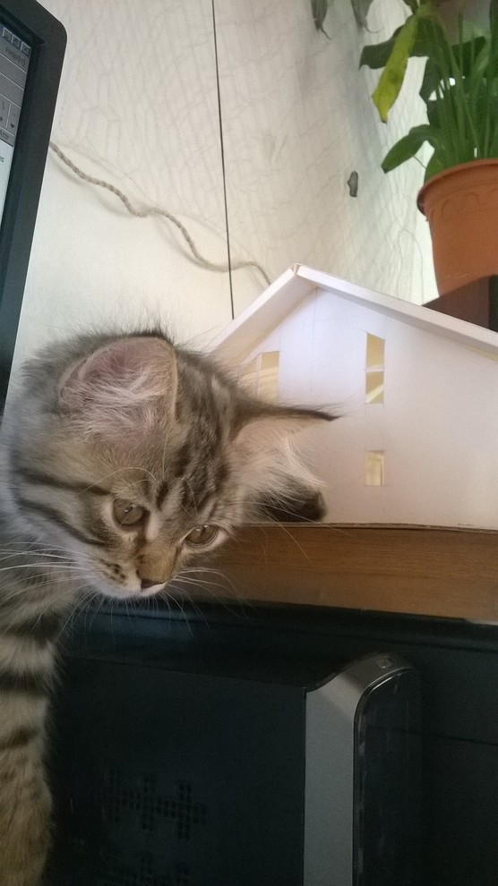 Солнечный дом.