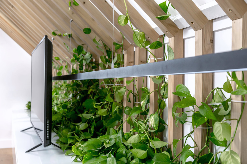 Переделка мансарды для программы Дачный Ответ