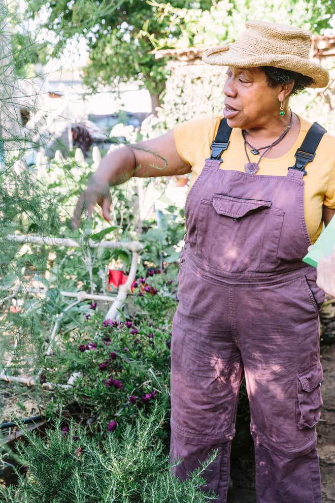 Насколько мал «маленький участок земли» в других странах