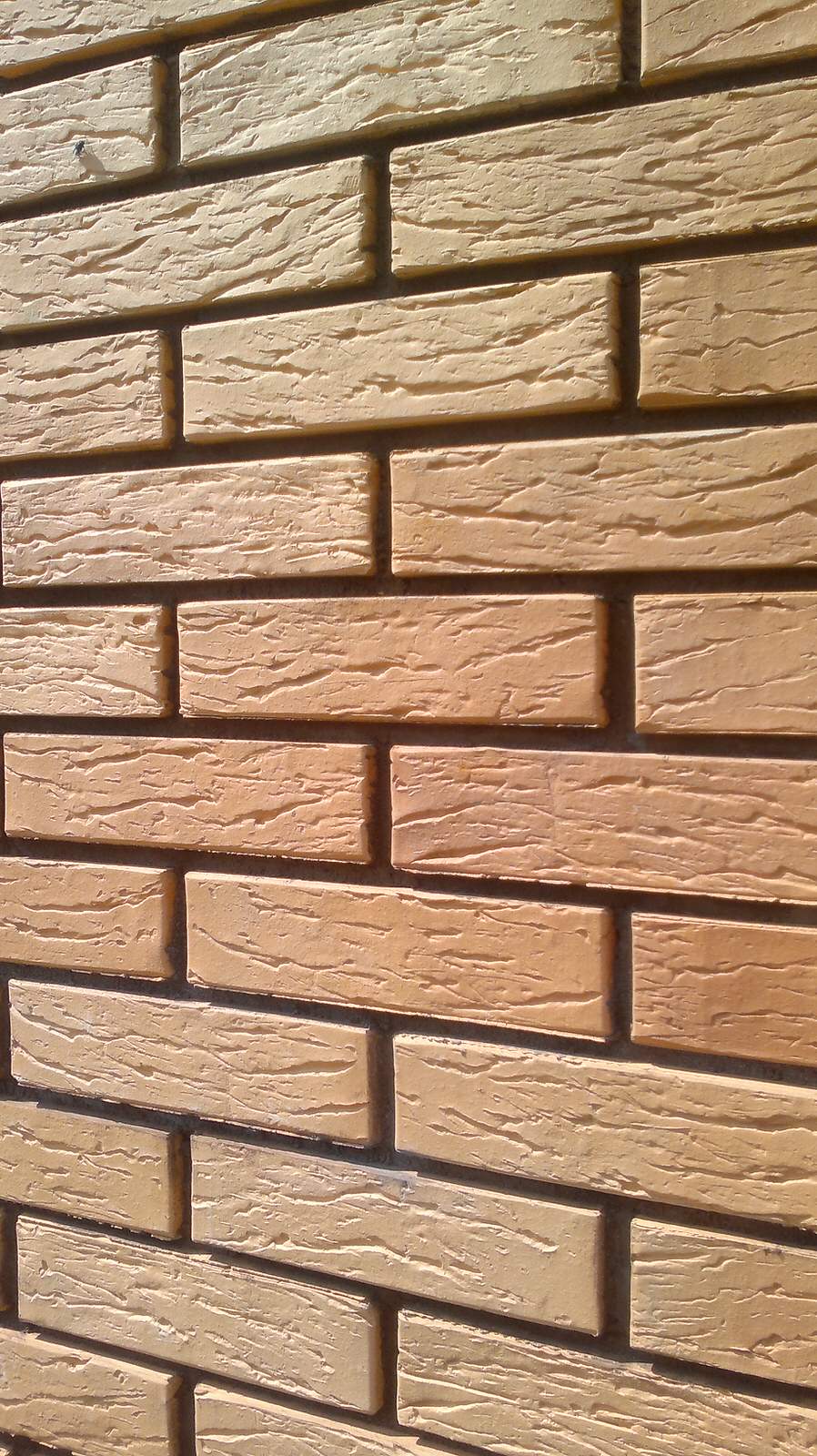 Фото разных объектов