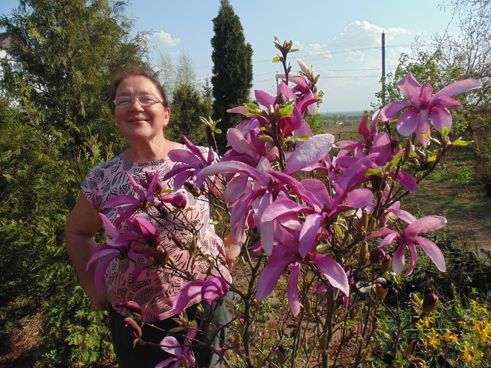 Наш собственный сад