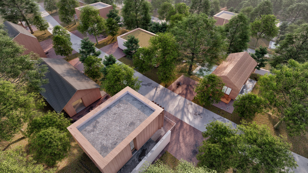 Зарождение