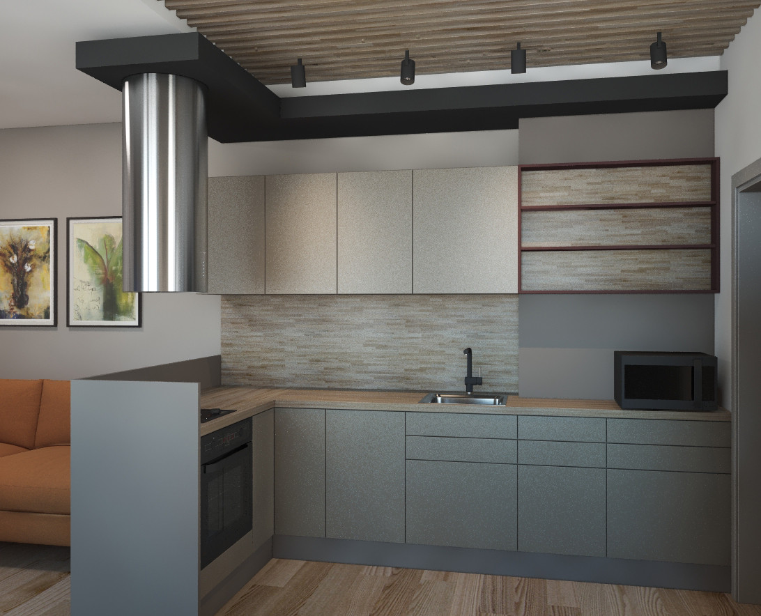 Кухня с гостиной зоной