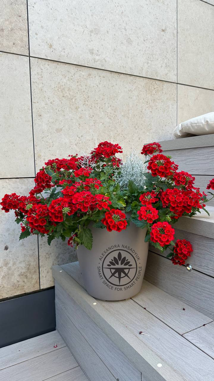 Сад с мужским характером