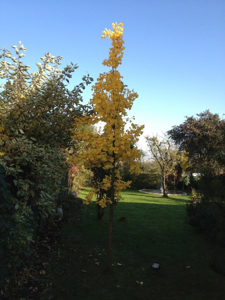 В гостях: Дом дизайнера и 4 сотки сада в Калининграде