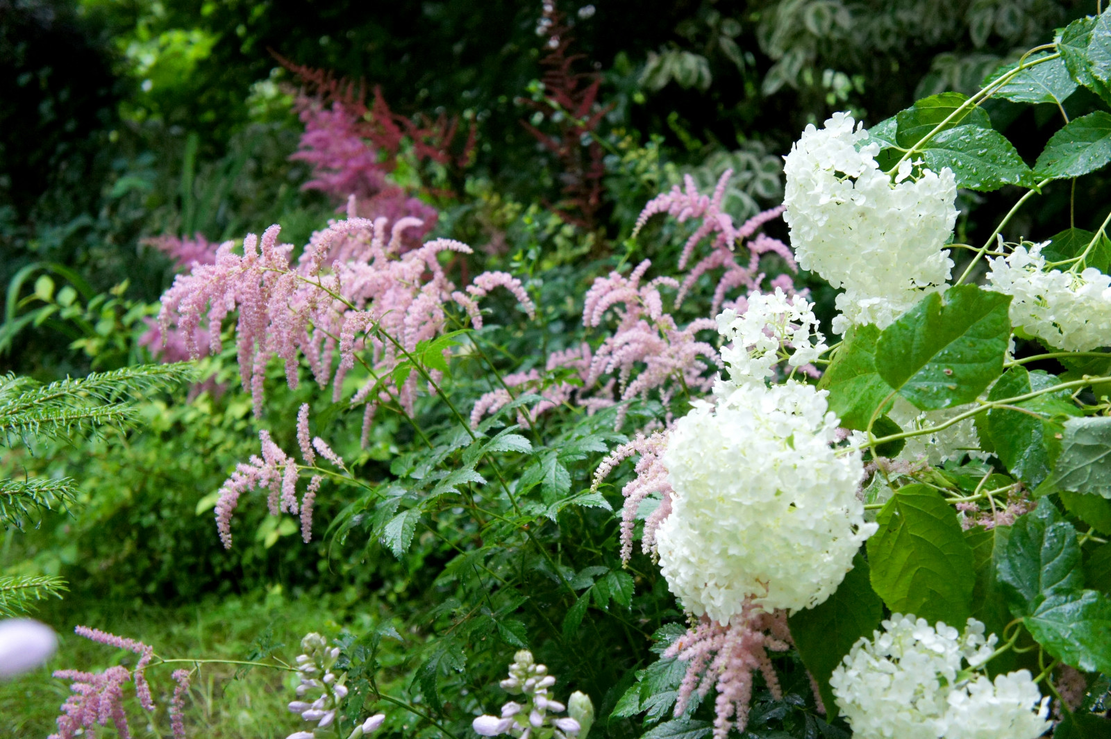 Цветники и композиции крупным планом
