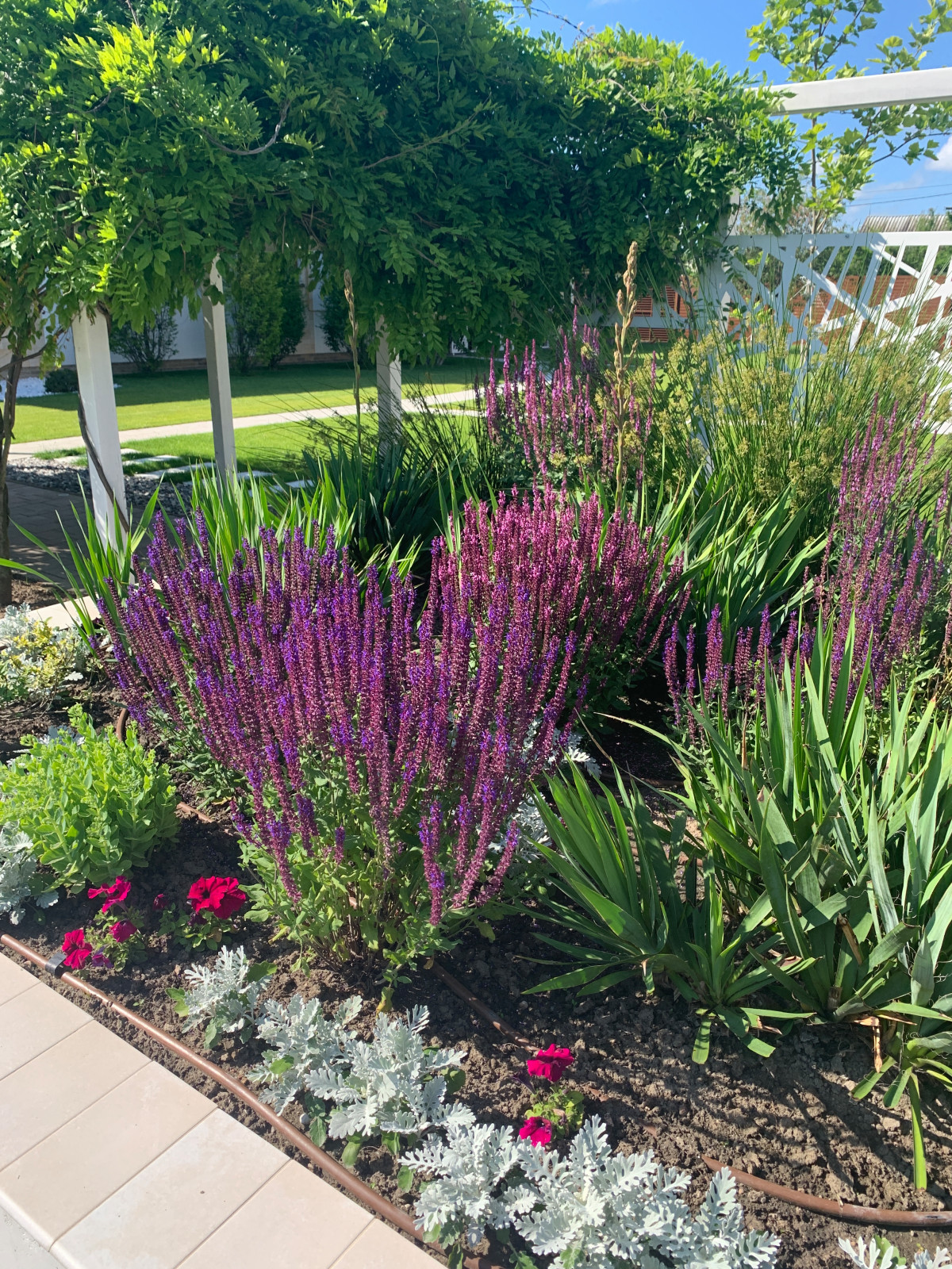 Современный сад для семьи