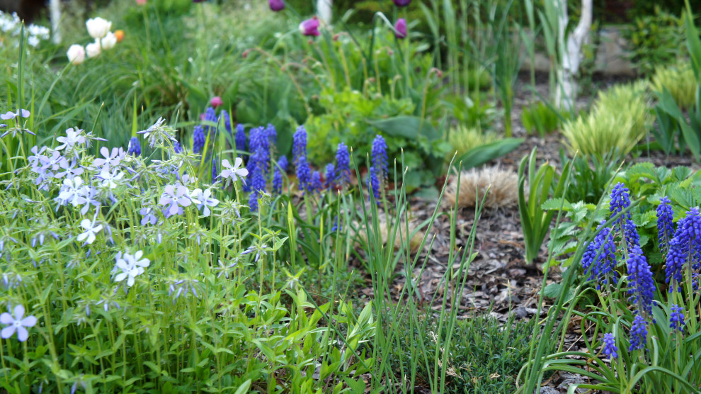 Цветники и композиции крупным планом