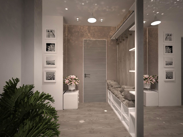 Обложка проекта: Коридор и прихожая.