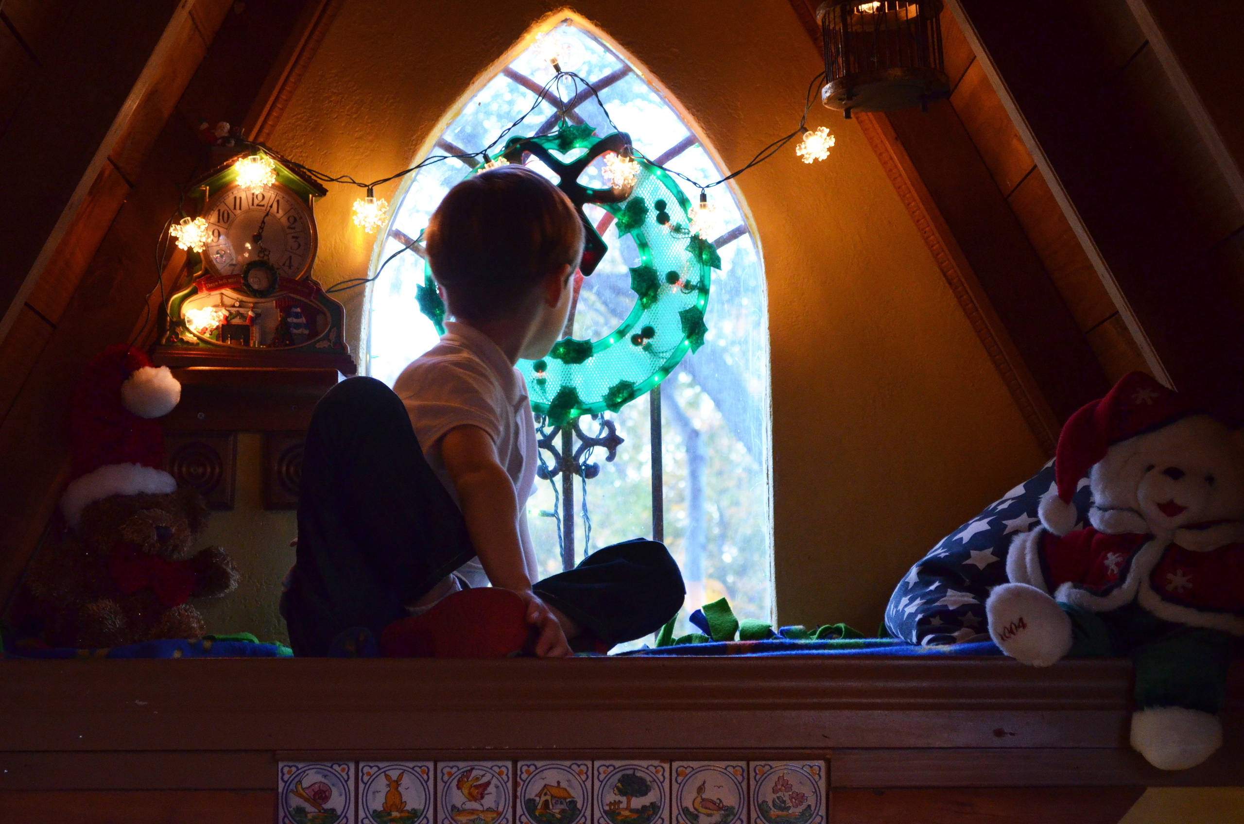 Houzz США: Волшебный дом на дереве с новогодними огнями