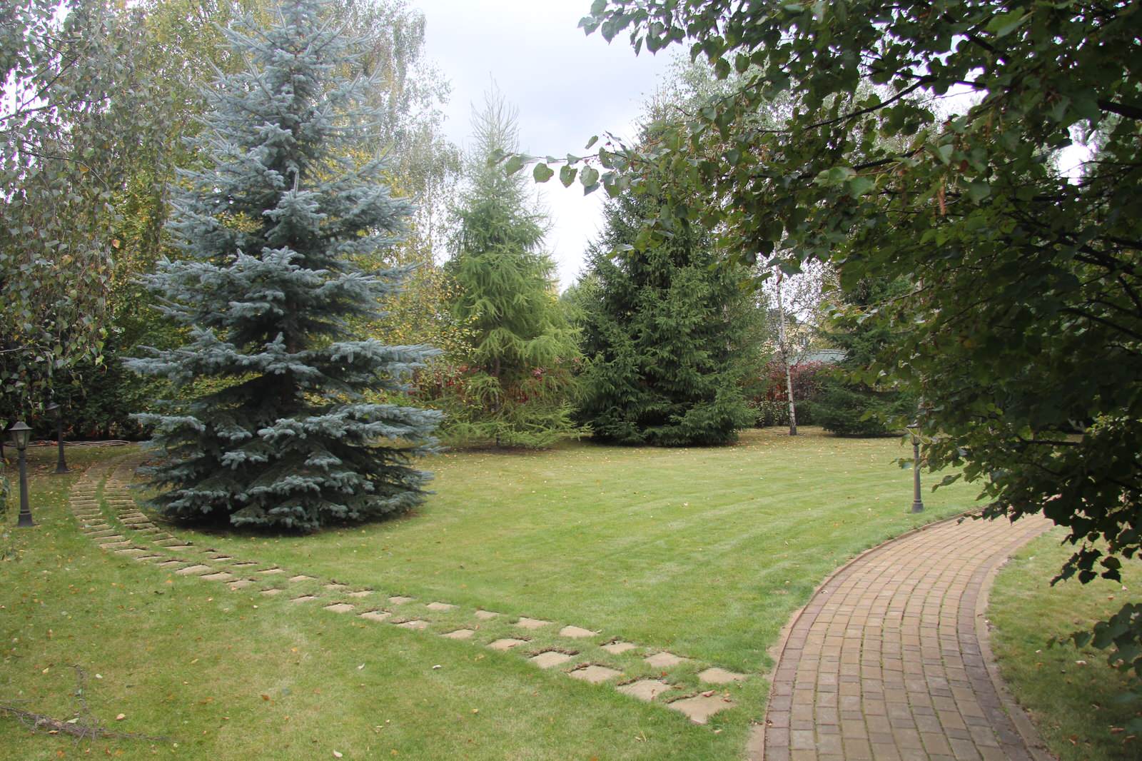 Проект в Новоспасское