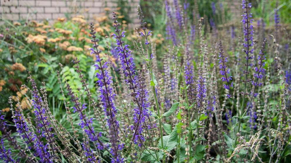 Обложка проекта: Оттенки синего