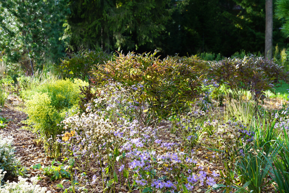 Круговорот цвета. Дубровка 2021