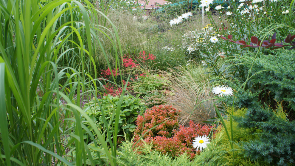 Прохорово лето 2017