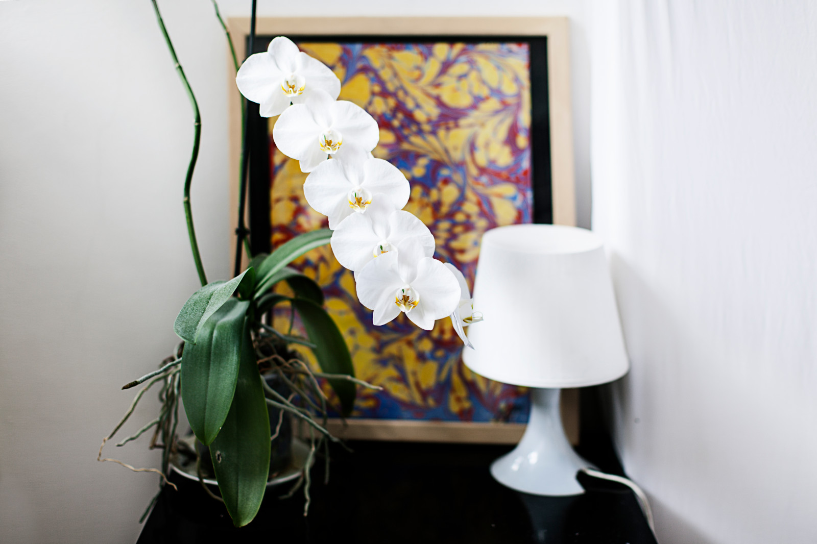 квартира Владимира Архангельского