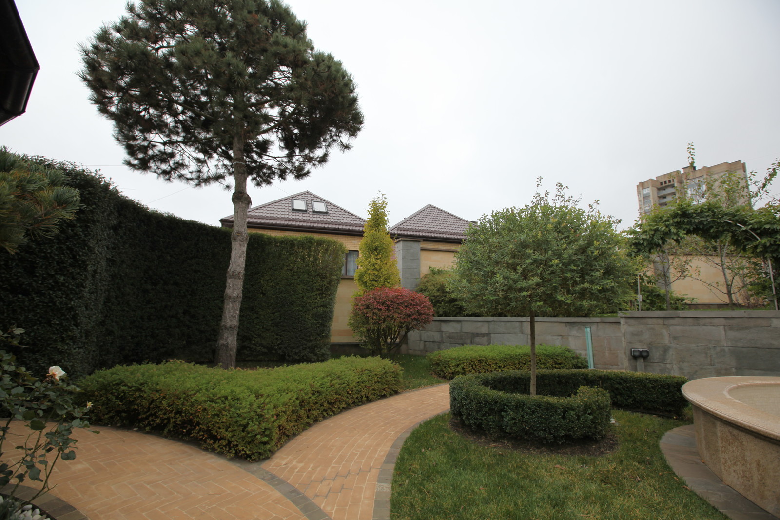 Итальянский сад с пиньями в городе